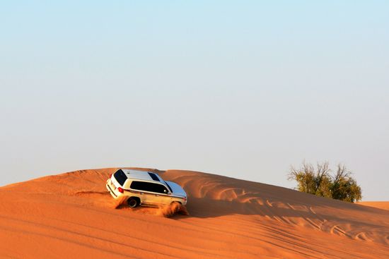 Desert Adventures