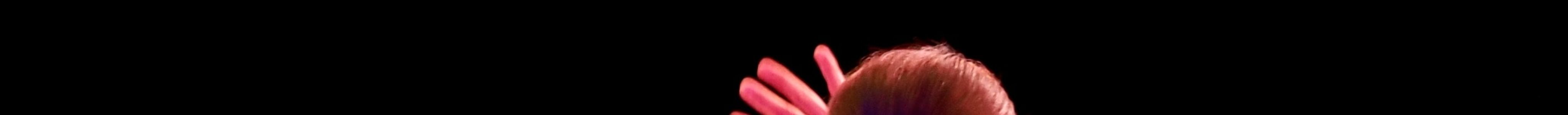 Flamenco Shows