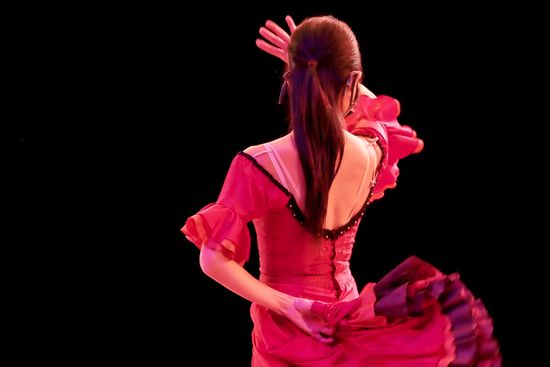 Flamenco Shows
