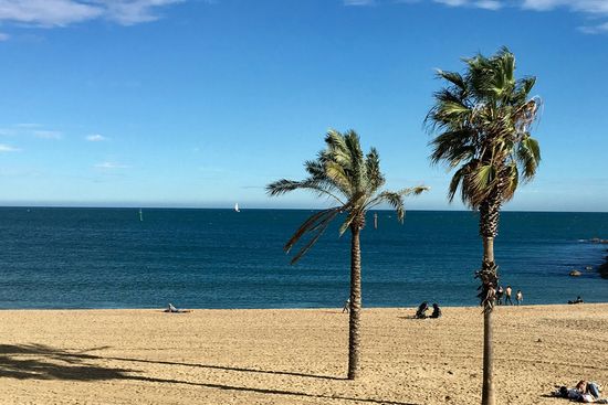 Sun, Sand, and Sail
