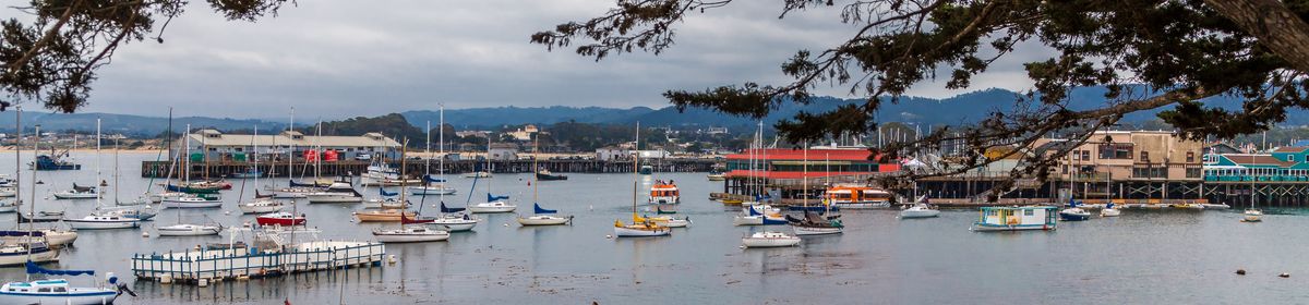 The Best Outdoor Activities in Carmel-by-the-Sea