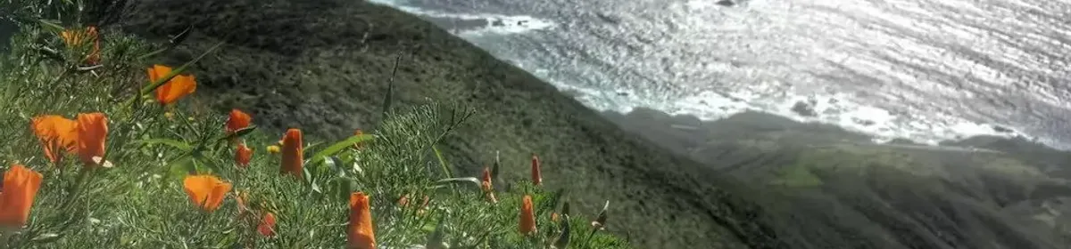 Garrapata State Park