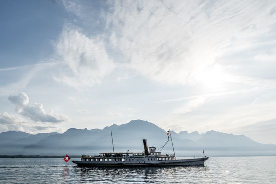 Cruises