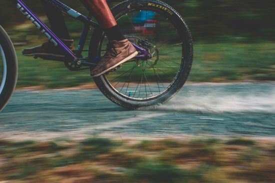 Bike Tours
