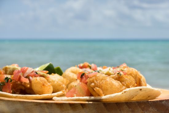 Food and Drink in Playa Del Carmen