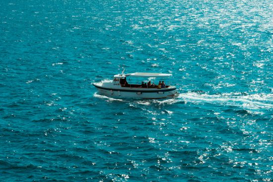 Cruises
