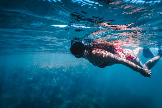 Snorkeling