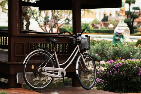 Bike Tours