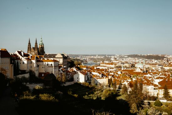 Top Things To Do