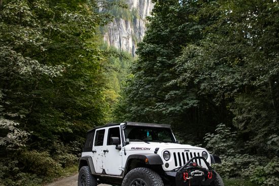 Safari Thrills