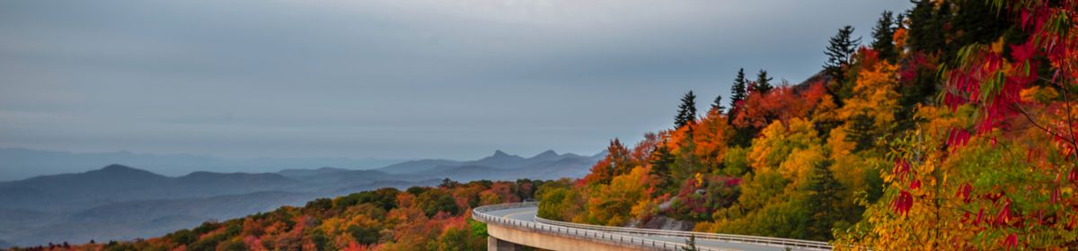 6 Best Places to Go Leaf Peeping Near Asheville, NC