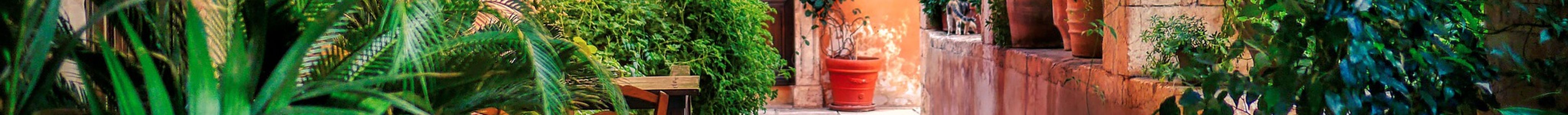 Tours privados en Creta