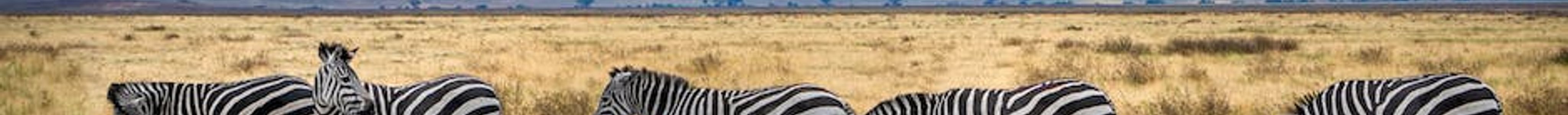 Tanzania