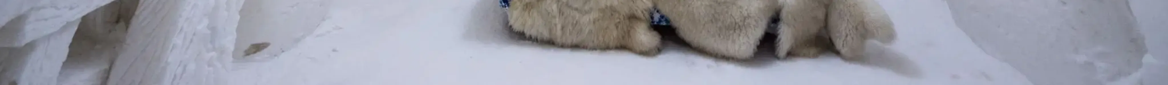 Snow Castle