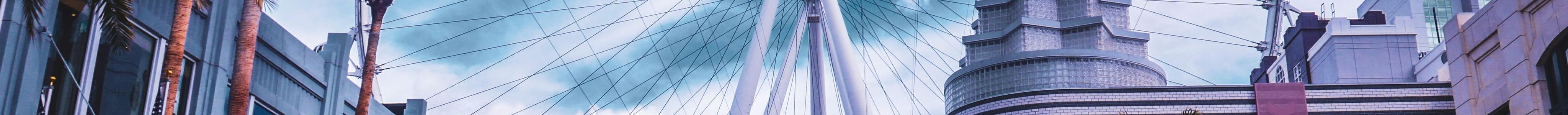 Top Things To Do Vegas