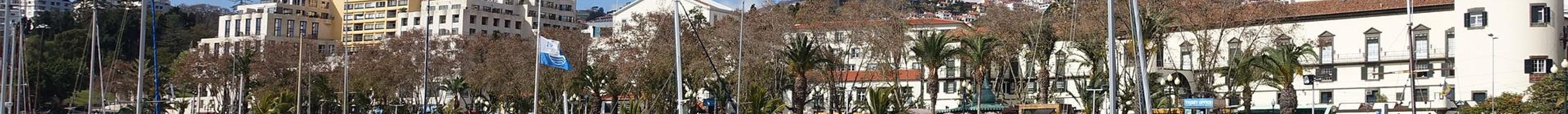 Cruises & Sailing in Funchal