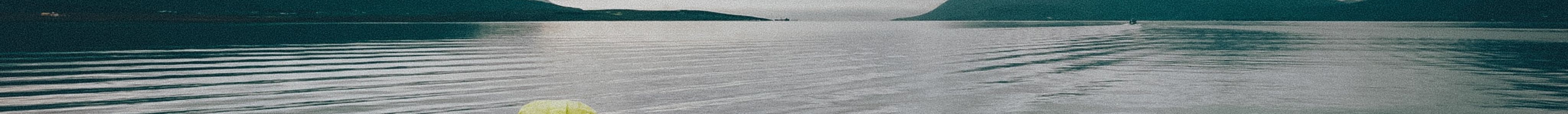 Crucero y navegación en Reikiavik