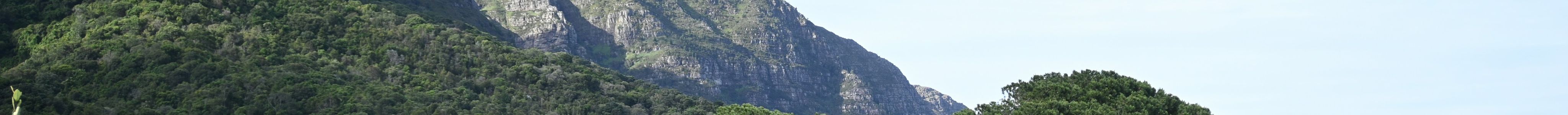 Kirstenbosch National Botanical Garden