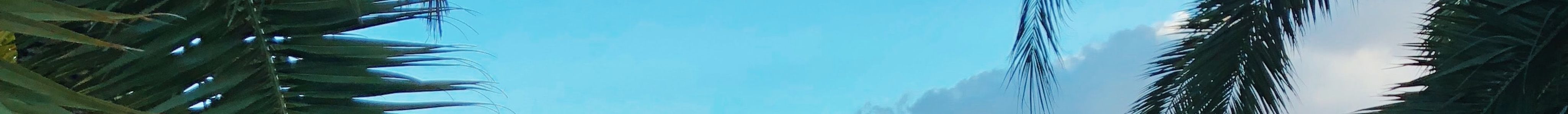 Gran Canaria Sightseeing Tours