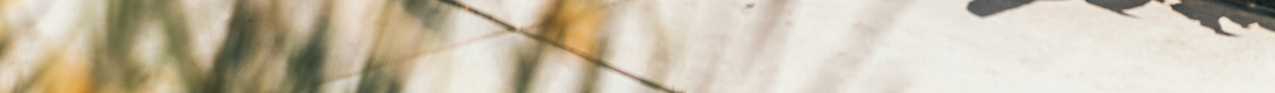 Explore With A Local