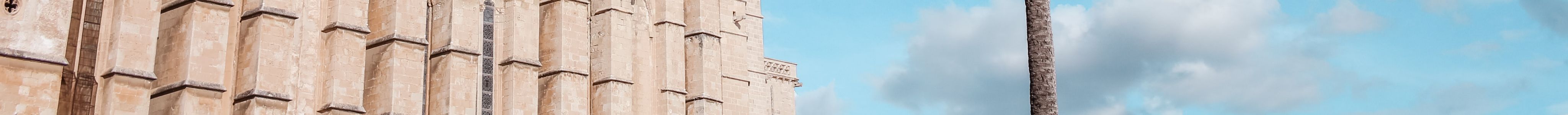 Palma Cathedral 