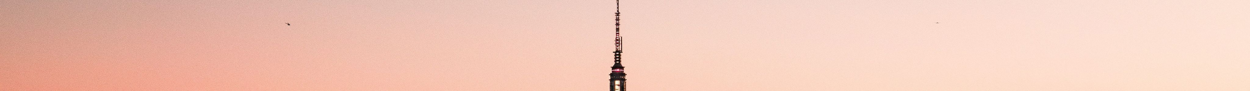 Unbeatable Views of NYC