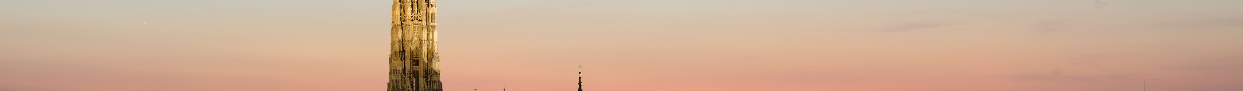 Locals Recommend Vienna