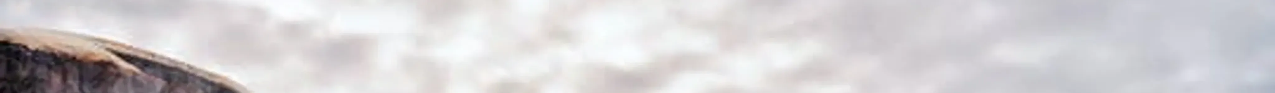 Experience Niagara
