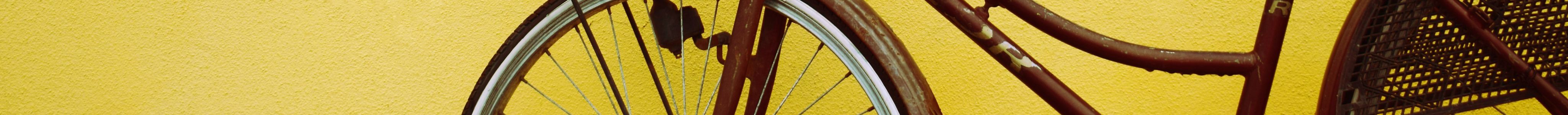 Bike Tours in Verona