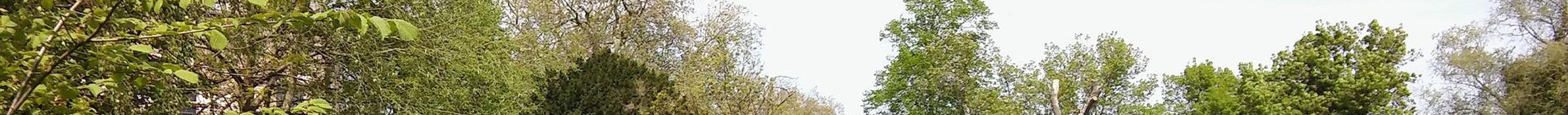 Recorridos históricos en Cambridge, Reino Unido