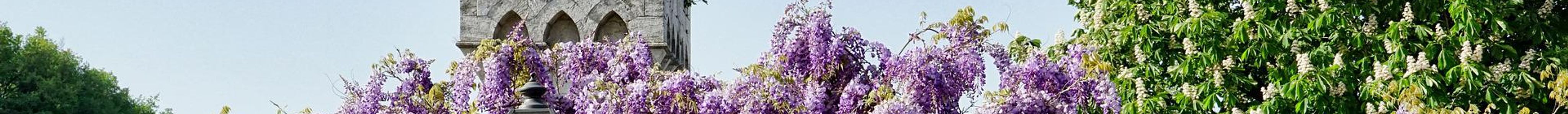 Tuscany - See Attractions