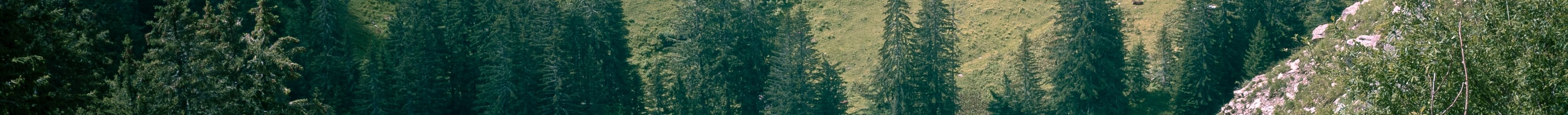 Avoriaz