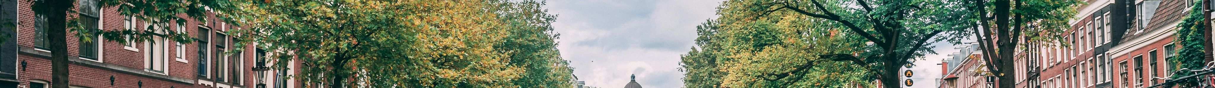 Discover More of Amsterdam