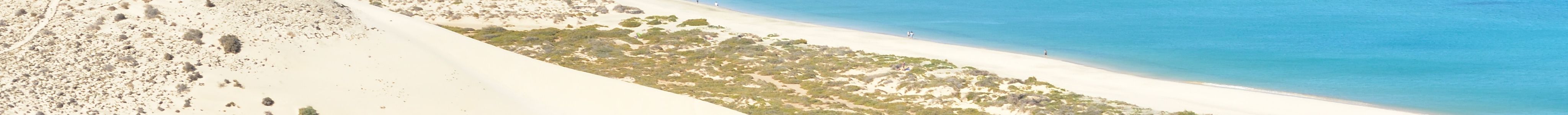 Fuerteventura Sightseeing Tours