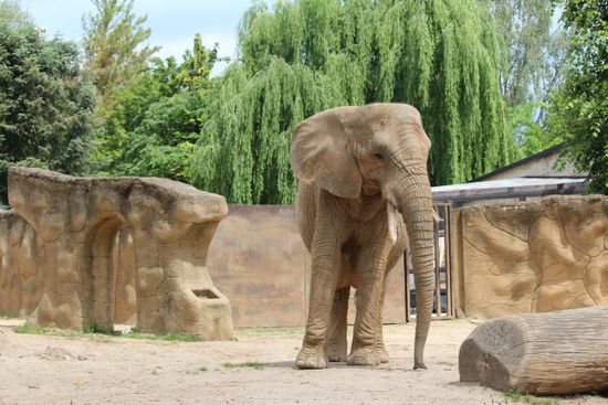 Prague Zoo