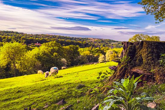 Yorkshire, England