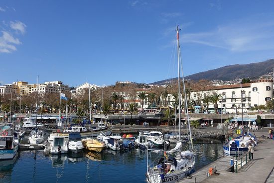 Cruises & Sailing in Funchal