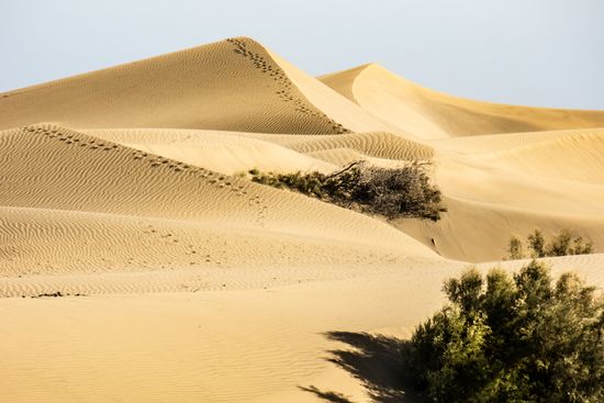 Dunes of Maspalomas