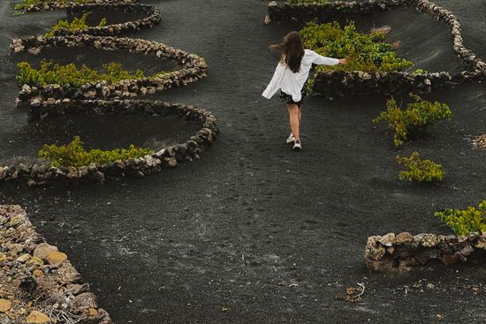 Private Tours in Lanzarote
