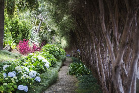 Adventure Tours in Funchal