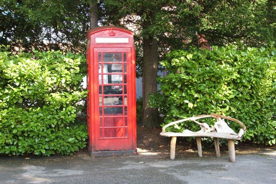 Outdoor Activities in Chester