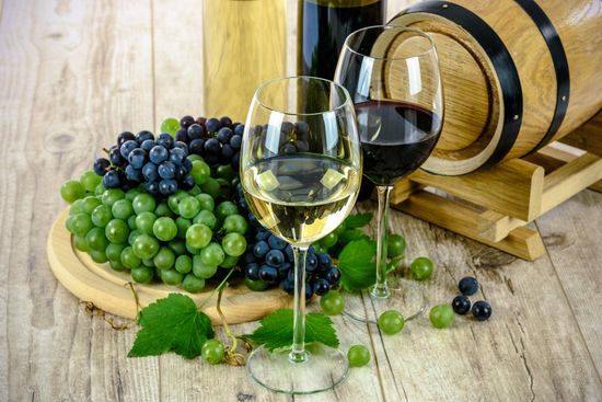 Madrid Wine Tasting & Winery Tours