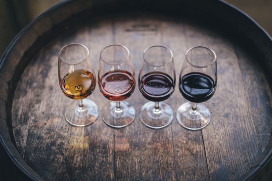 Porto Wine Tasting