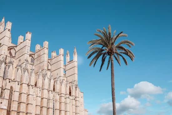 Palma Cathedral 