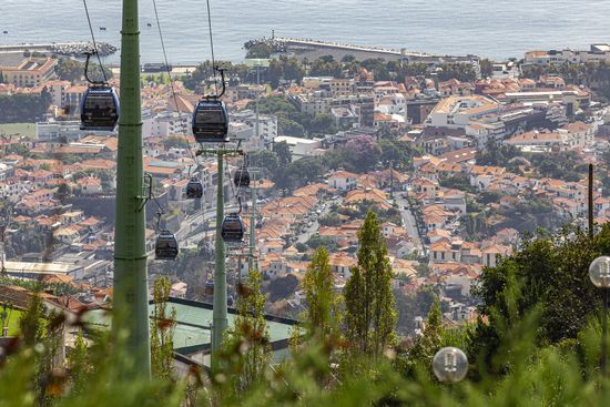 Day Trips from Funchal