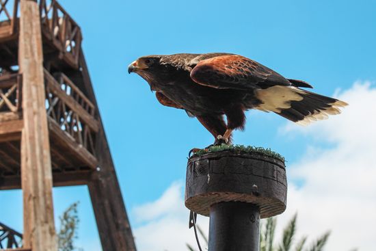 Oasis Wildlife Park