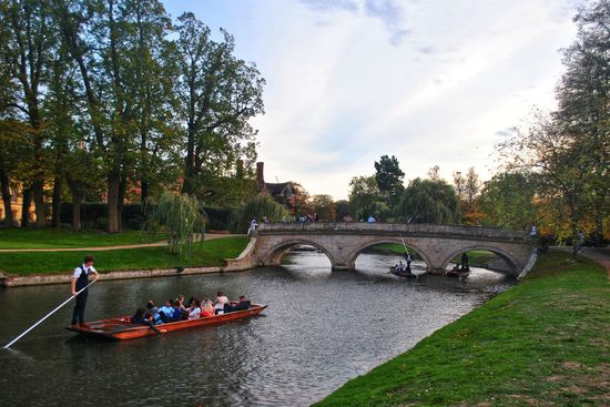 Punting Tours