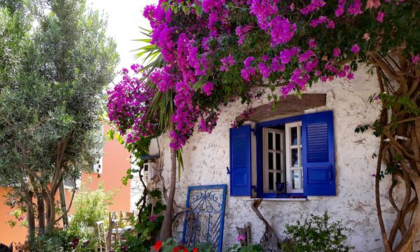Corfu Day Trips