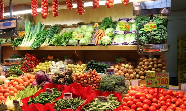 Food & Drink in Palma de Mallorca