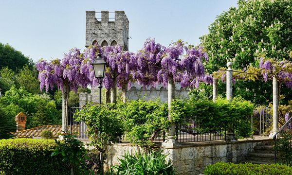 Tuscany - See Attractions